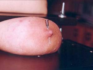 Anime Sex Slave Girl - Anime slave girl