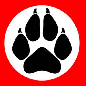 Nazi Furry Female Porn Only - 