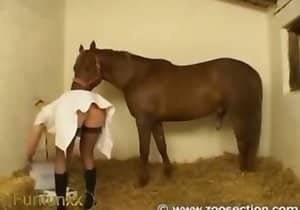 German Bestiality Porn - 