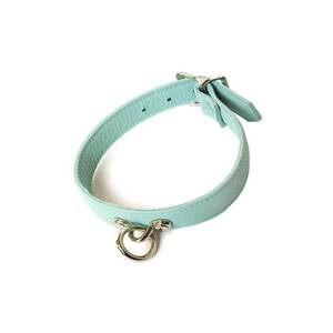Dog Collar Leash Bondage Forced Lesbian Porn - 17 Best BDSM Collars For Bondage and Submissive Sex - Bedbible.com