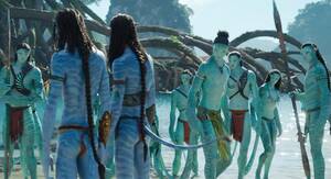 Gay Porn Avatar Watertribe - Aonnete appreciation post made by a delusional gay. Please have mercy, this  is just for fun and laughs. : r/Avatar