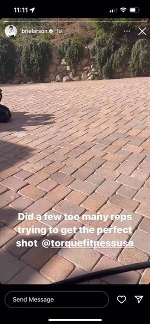 Brie Larson Hardcore Porn - Brie Larson Crushes Her Outdoor Summer Sled Workout On Instagram