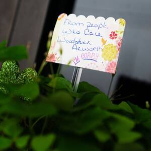 Drugged Fetish Porn - Atlanta shootings: How the history of spas and sex work fits into the  conversation - Vox