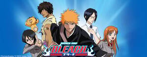 Gurren Log Porn Youku - Bleach (TV) - Anime News Network