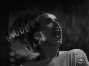 Bride Of Frankenstein Porn Movie - FRANKENSTEIN AND BRIDE OF FRANKENSTEIN (1931 AND 1935, DIR. JAMES WHALE). â€“  Comments on Culture