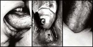 1940s Jap - Araki was born in 1940s Tokyo. A quote from the astounding Araki by Araki:  The Photographer's Personal Selection 1965-2002 illustrates the enigma at  an ...