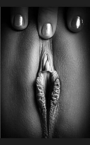 black and white pussy - Erotic Black and White - 60 porn photos