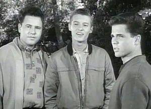 June Cleaver Eddie Porn - Ken soon fit right in and all the three teenage members of the cast, Tony  Dow (Beaver's older brother Wally) and Frank Bank (who played Eddie's pal,  ...