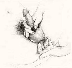 femdom prostate massage cartoons - Cartoon Anal Porn Pics image #158296