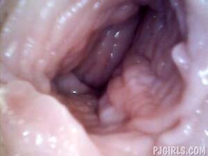 camera in vagina - Camera Inside Pussy Porn Videos - fuqqt.com