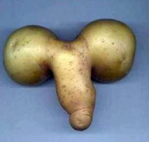 Food Porn Funny Memes - xxkisamexx gets of this post for getting the question last time, now a  riddle this time for the next. Find this Pin and more on Food Porn ...