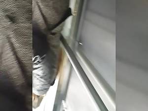 glass elevator upskirt - Elevator Upskirt - black panty