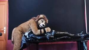 Lion Furry Porn Bondage - Bondage: Lion gag his sub - ThisVid.com