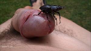 Extreme Gay Porn Bugs - Gay Porn Bugs Bunny | Gay Fetish XXX