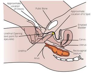 g spot best position - Best sex position to hit g spot . Adult Images.