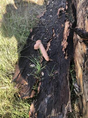 Katy Perry Pov Porn - POV you find a massive dildo in a log after stopping to take some pictures.  : r/trashy