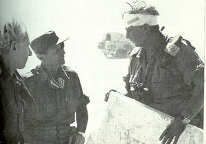 Blonde Amateur German Teenmodelsporn - Moshe Dayan