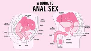 anal sex health risks - Anal Sex: Safety, How tos, Tips, and More | Teen Vogue