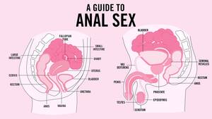 anal pleasure techniques - Anal Sex: Safety, How tos, Tips, and More | Teen Vogue