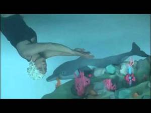 dolphin sex cartoons - Green Porno - Dolphins