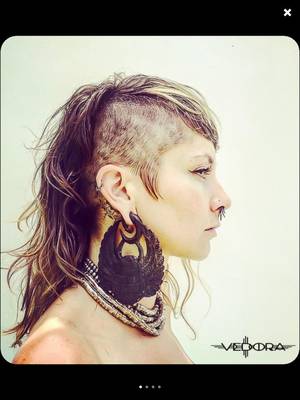 Gauge Porn Magazine - 00 Gauges Scarab Earrings Ear Weights Hand Carved Wood by Vedora