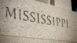 Mississippi Stolen Porn - Here are Mississippi's new laws on Medicaid, online porn, voting, pecan  theft, and others | News | fox13memphis.com