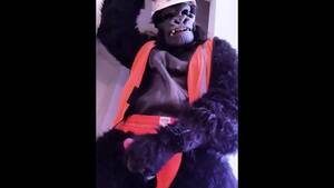 Monkey Costume Porn - Adult Flying Monkey Costume Gay Porn Videos | Pornhub.com