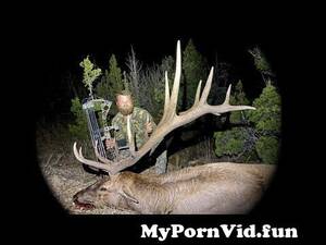 Elk Hunting Porn - Giant 7x6 Bull!!! Archery Elk Hunt \\\