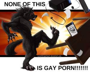 Gay Gorilla Porn - furryðŸ’„irl ...