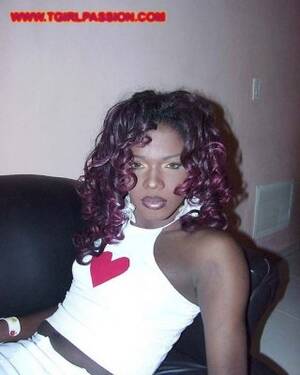 dominican shemale photo galleries - Dominican shemale stroking her huge black love toy Porn Pictures, XXX Photos,  Sex Images #3505909 - PICTOA