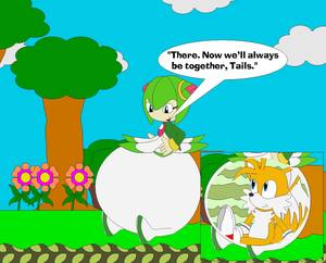 Fan Sonic Porn - Sonic Fans Gonna Sonic Fan.