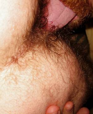 hairy rimming - Rimming Hairy Ass.jpg | MOTHERLESS.COM â„¢