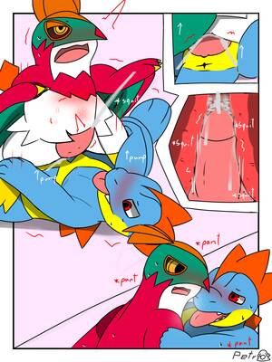 Hawlucha Pokemon Porn Sex - Rule34 - If it exists, there is porn of it / croconaw, hawlucha / 3285375