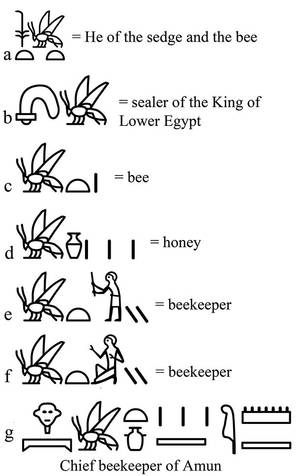 Ancient Egyptian Hieroglyphic Porn - Living on Earth: The Egyptian words and phrases that incorporate the honey  bee hieroglyph.