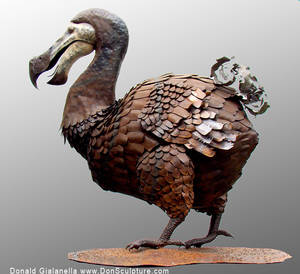 dodo porn - The Dodo Bird by Don Gialanella