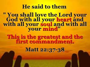 Matt 22" Lg Porn - ... 13.