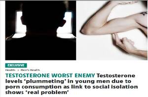 Levels Of Porn - Testosterone levels 'plummeting' in young men due to porn consumption as  link to social isolation shows 'real problem' : r/NoFap