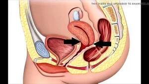 Human Breeding Porn - Watch Institute of human breeding 1 - Breed Black, White Female, Black Bull  Cuckold Porn - SpankBang