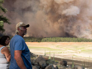 Bisexual Porn Star Python - Loophole Lets Air Regulators Wipe Pollution From Records | What Roadkill  Can Tell Us About Native Species | Fall Colors Across Sierra Nevada -  capradio.org