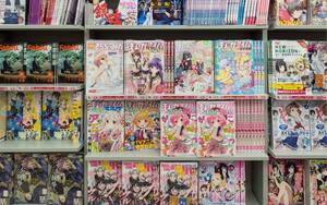 Japanese Anime Porn Books - How manga shapes Japanese identity - Engelsberg ideas