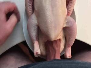 chicken fucking big cocks - Raw chicken fuck | MOTHERLESS.COM â„¢