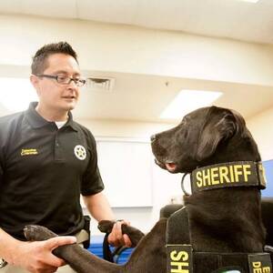 Canine Porn - Heroic 'porn-sniffing dog' dies after putting over 200 sex offenders behind  bars - Mirror Online