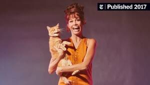 Mary Tyler Moore Porn Comics - Mary Tyler Moore Defined the Idea of the Working Woman - The New York Times