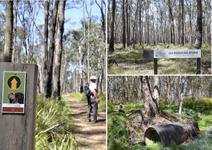 American Dad Akiko Porn Cheerleader - Homepage - The Local