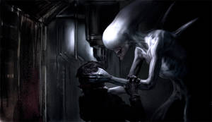 Marine Alien Xenomorph Facehugger Porn - Prometheus briefly explored the concept of a white proto-Alien. AvPGalaxy  Exclusive: The