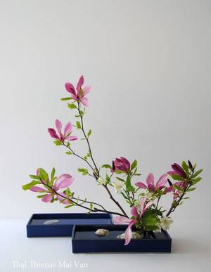 japanese nude ikebana - L'art floral japonais Ikebana, Thai Thomas Mai Van l'a dans la peau.