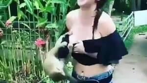 Girls Tits Sucking Monkey - Monkey flashed girl's boobs, uploaded by Ridonne