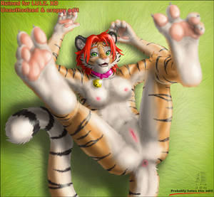 Feline Paw Porn - Statistics