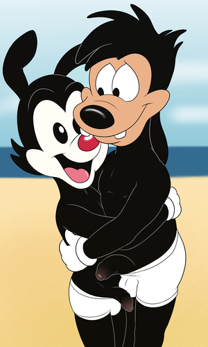 Animaniacs Porn Foot - Gay Animaniacs Rule 34 | Gay Fetish XXX