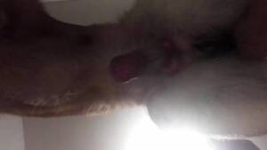 Hot Bestiality Porn - Dog cock showcase in a hot bestiality porn clip